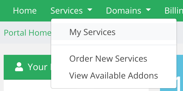 Dropdown of the Services menu with the My Services option highlighted